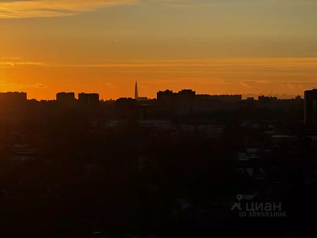 1-к кв. Ленинградская область, Всеволожский район, д. Новое Девяткино ... - Фото 1