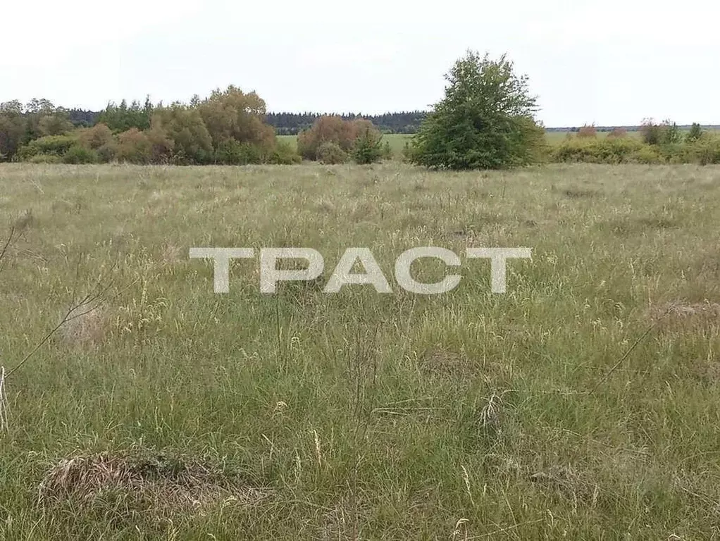 Участок в Липецкая область, Усманский район, Студенский сельсовет, д. ... - Фото 0