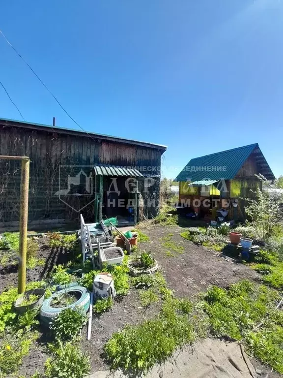 Дом в Кемеровская область, Кемерово Заря садовое общество, 796 (30 м) - Фото 1