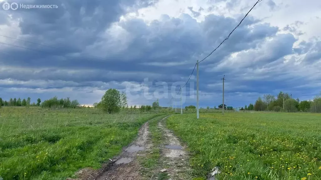 Участок в Медведевский район, Нурминское сельское поселение, село ... - Фото 1