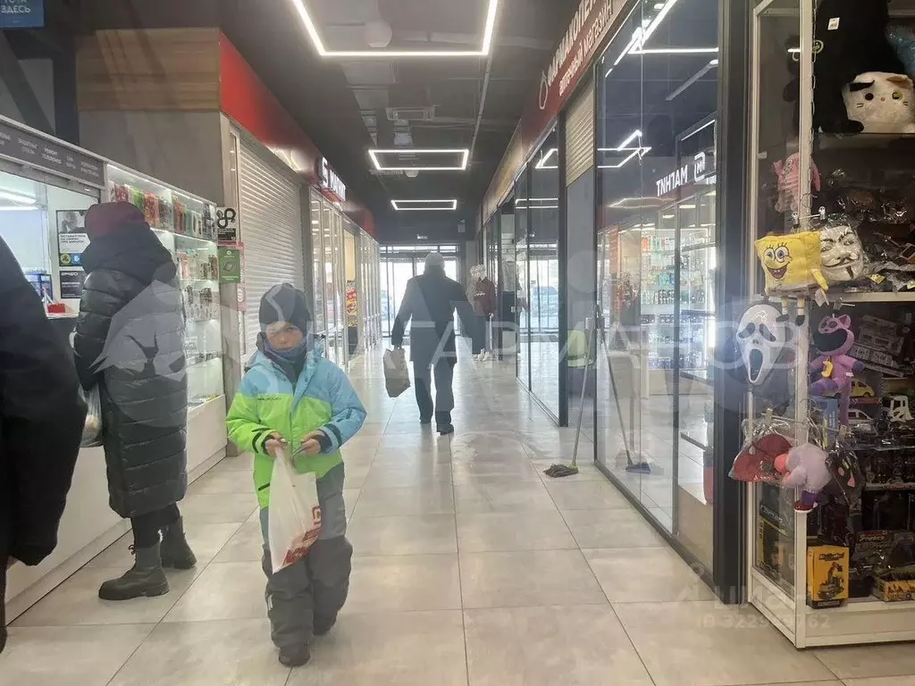 Помещение свободного назначения в Новосибирская область, Новосибирск ... - Фото 2