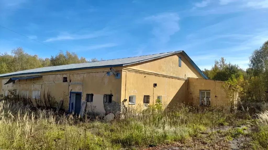 Производственное помещение в Костромская область, Нерехтский район, ... - Фото 1