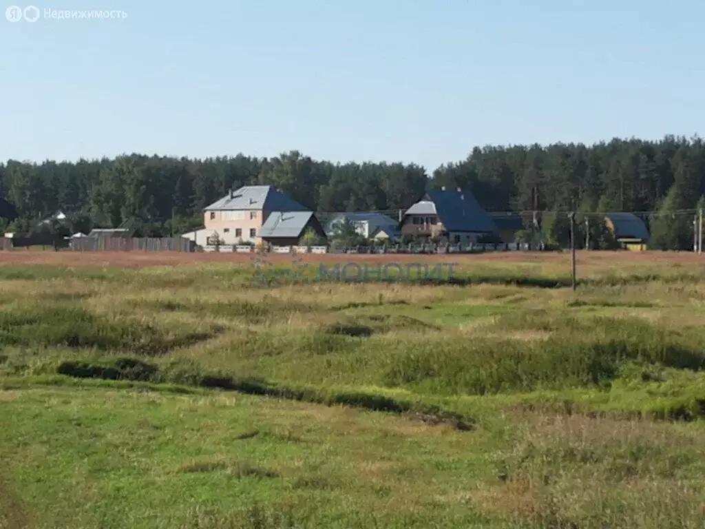 Участок в Нижегородская область, Лысковский муниципальный округ, село ... - Фото 1