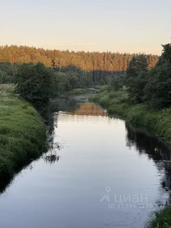 Участок в Ивановская область, Ильинский район, Щенниковское с/пос, д. ... - Фото 0