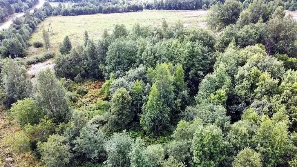 Участок в Карелия, Лахденпохский муниципальный округ, пос. ... - Фото 2