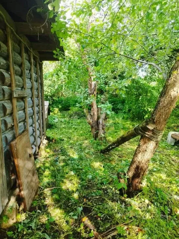 Участок в Санкт-Петербург Победа СНТ, ул. Связи, 109 (5.0 сот.) - Фото 1