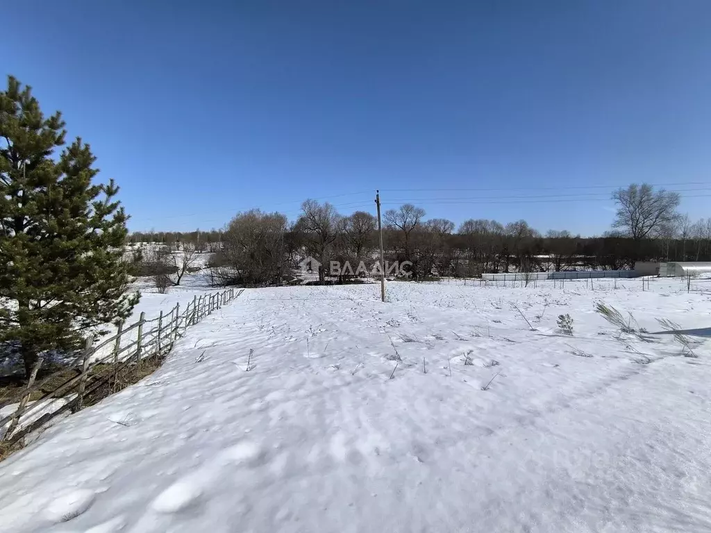Участок в Владимирская область, Суздальский муниципальный округ, с. ... - Фото 1