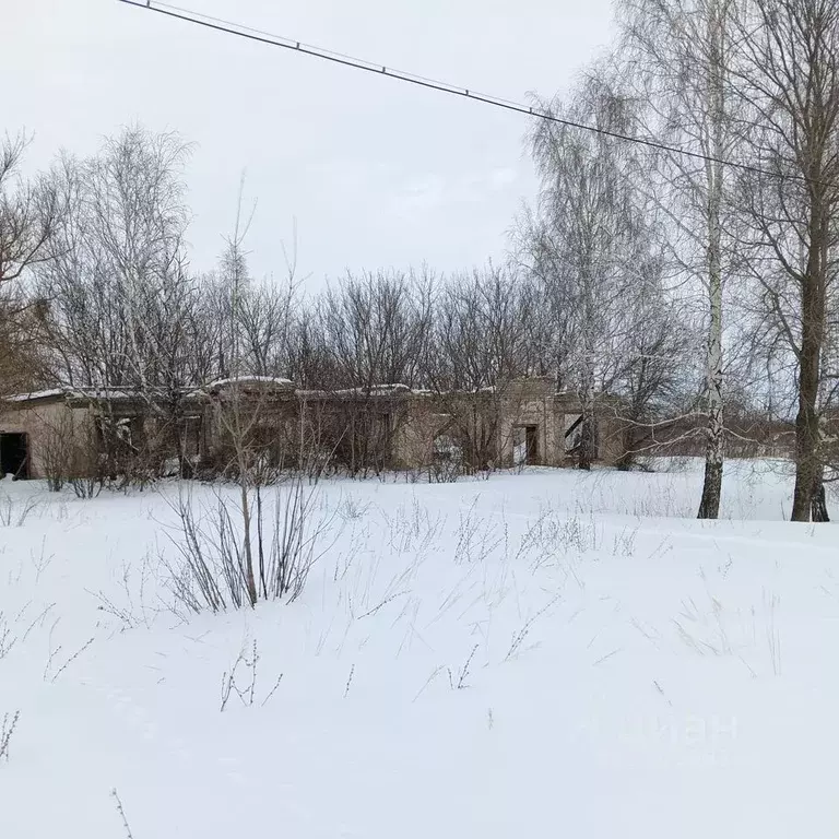 Помещение свободного назначения в Рязанская область, Скопинский район, ... - Фото 1