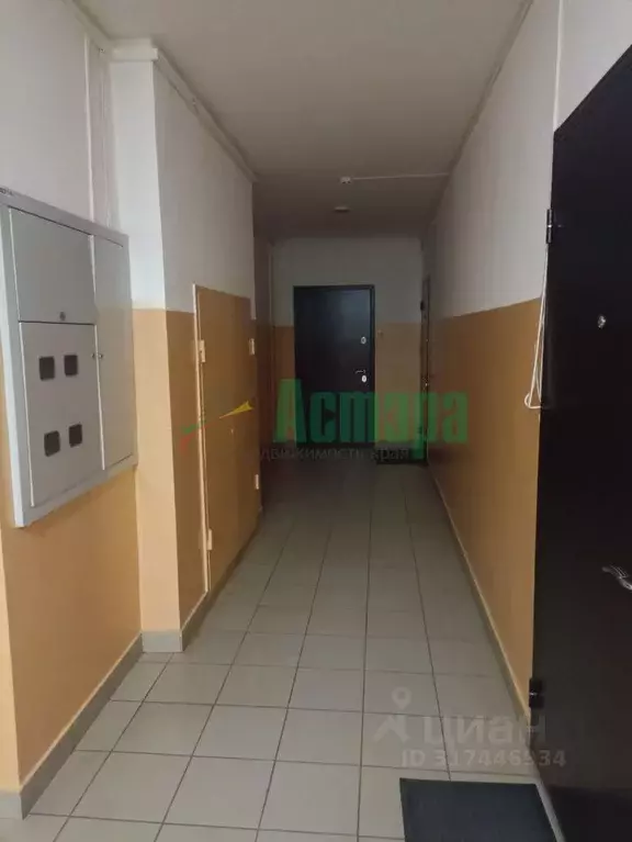 2-к кв. Забайкальский край, Чита ул. Курнатовского, 70 (67.0 м) - Фото 2