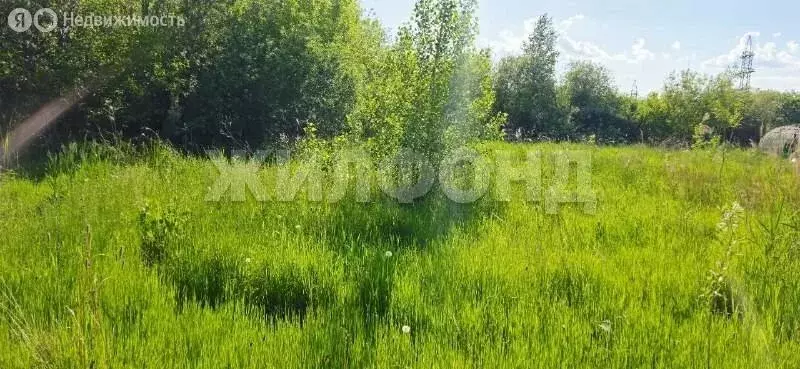 Участок в Новосибирск, садовое товарищество Золотая осень (11.56 м) - Фото 0