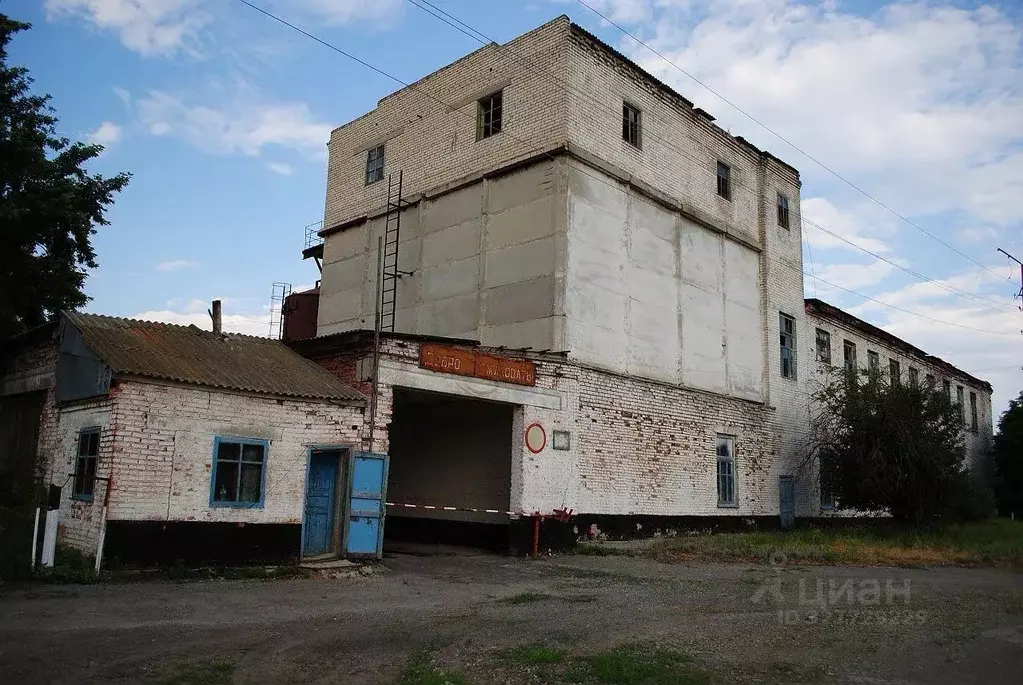 Производственное помещение в Ростовская область, Милютинская ст-ца ул. ... - Фото 1