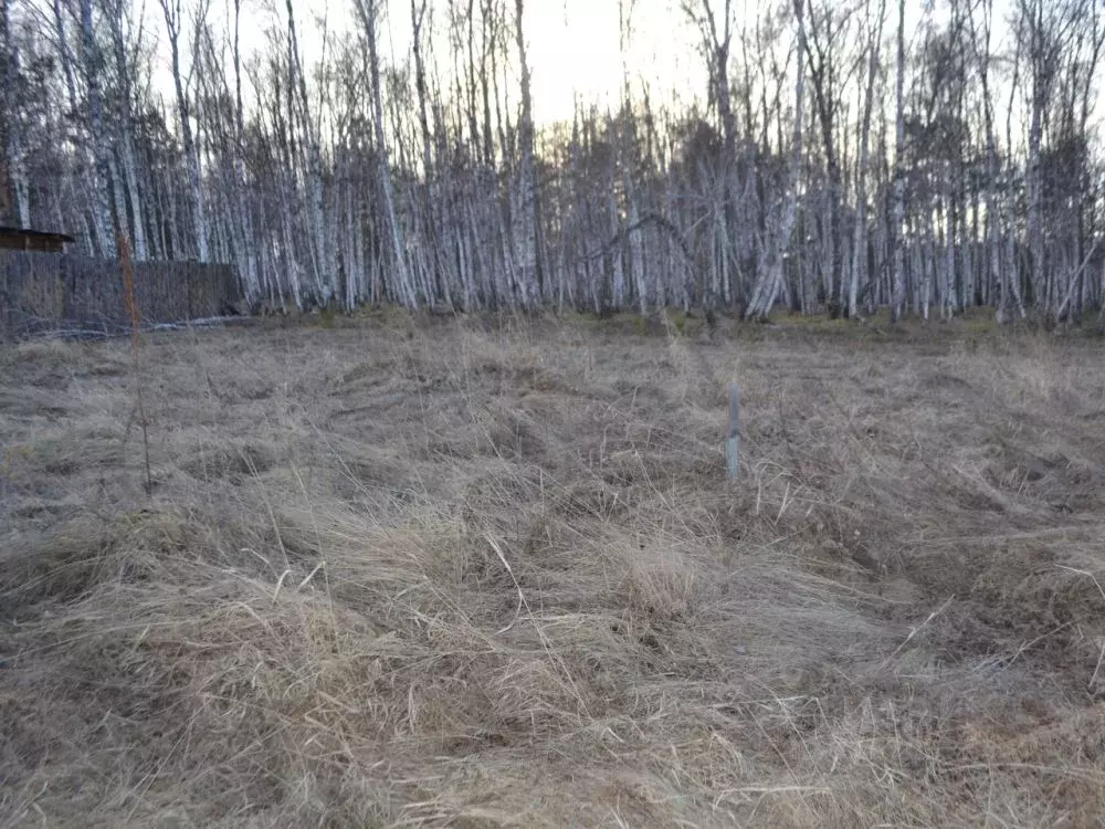 Участок в Иркутская область, Иркутский муниципальный округ, падь ... - Фото 2