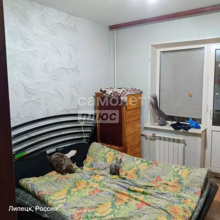 2-к кв. Липецкая область, Липецк просп. имени 60-летия СССР, 4 (49.9 ... - Фото 2