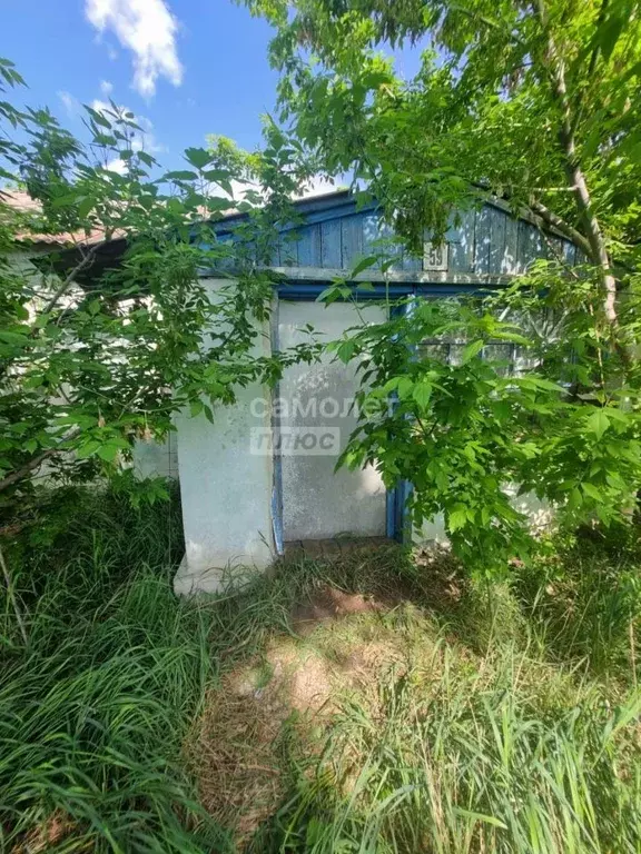 Дом в Воронежская область, с. Каширское ул. 9 Января, 59 (33 м) - Фото 0