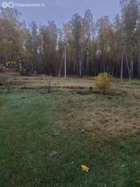 Участок в Московская область, городской округ Люберцы, деревня ... - Фото 2