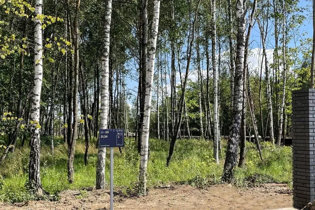 Участок в Московская область, Красногорск городской округ, д. ... - Фото 1
