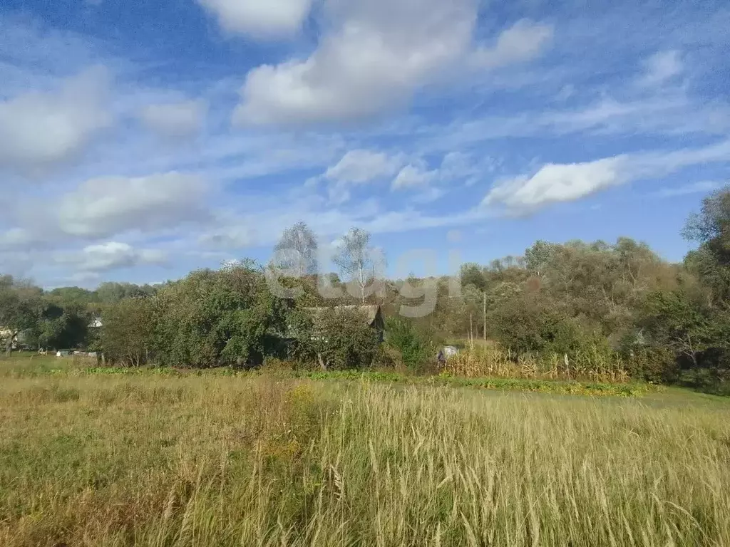 Участок в Брянская область, Выгоничский район, Кокинское с/пос, д. ... - Фото 1