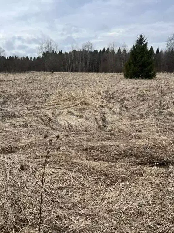 Участок в Вологодская область, д. Марфино, д. Шаньково ул. Шаньково ... - Фото 1