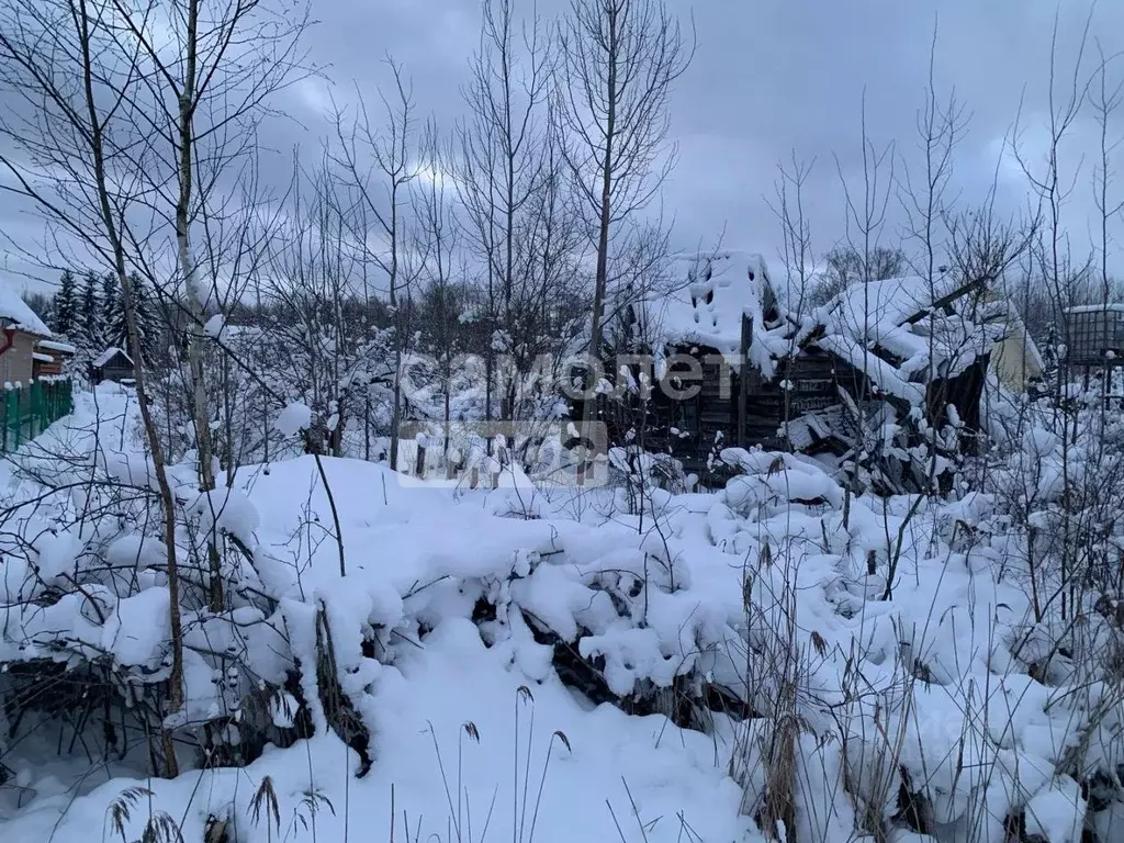 Участок в Ленинградская область, Тосненский район, Трубникоборское ... - Фото 1