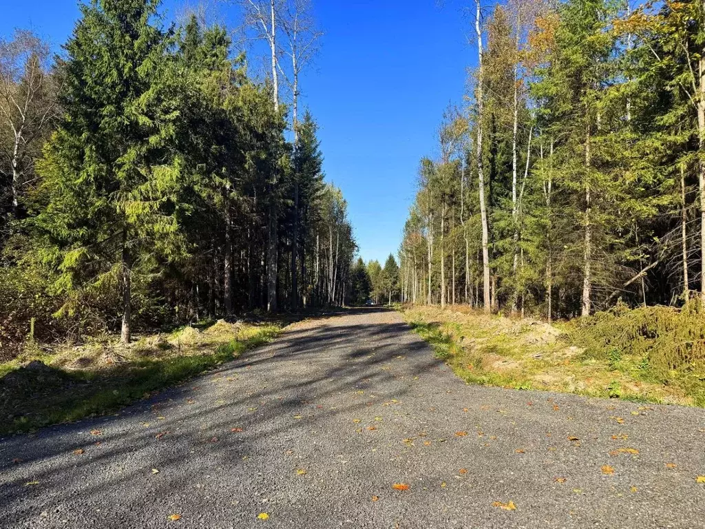 Участок в Московская область, Дмитровский муниципальный округ, ... - Фото 1