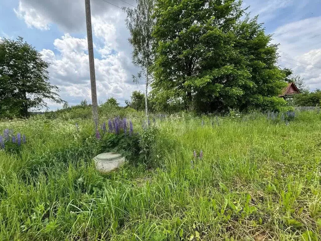 Участок в Владимирская область, Ковровский муниципальный округ, д. ... - Фото 2