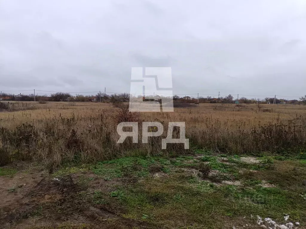 Участок в Ростовская область, Неклиновский район, Синявское с/пос, ... - Фото 1