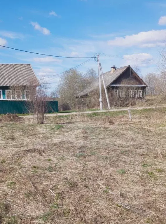 Участок в Новгородская область, Валдайский муниципальный район, ... - Фото 2