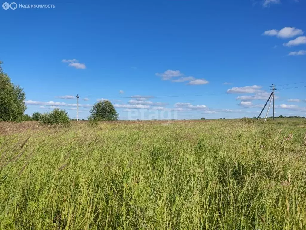 Участок в деревня Русский Кукмор, улица Актуганово (30 м) - Фото 0