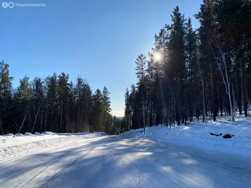Участок в Иркутский муниципальный округ, заимка Поливаниха (10 м) - Фото 2