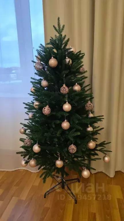 2-к кв. Псковская область, Псков Гражданская ул., 27 (65.0 м) - Фото 2