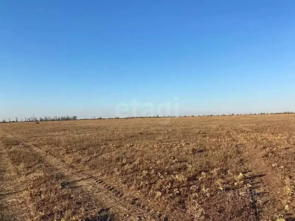 Участок в Крым, Симферопольский район, Николаевка пгт  (6.0 сот.) - Фото 2