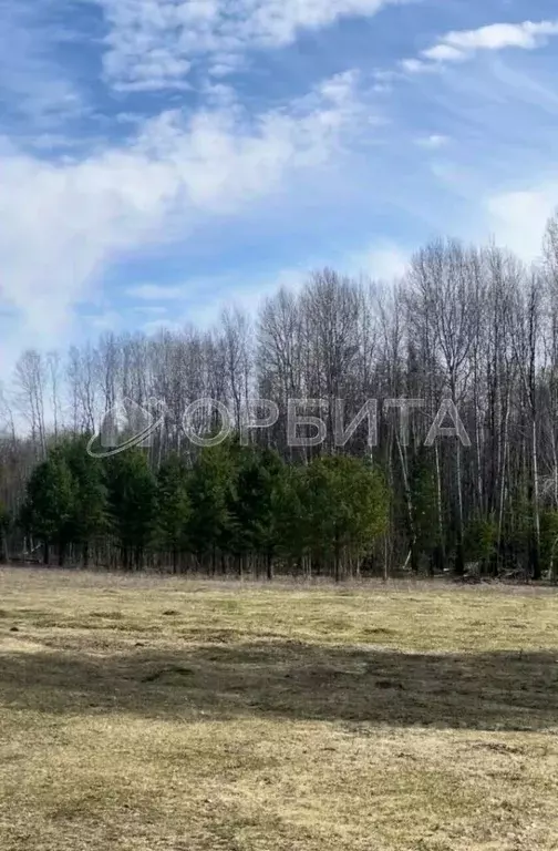 Участок в Тюменская область, Нижнетавдинский район, пос. Кунчур ул. ... - Фото 1