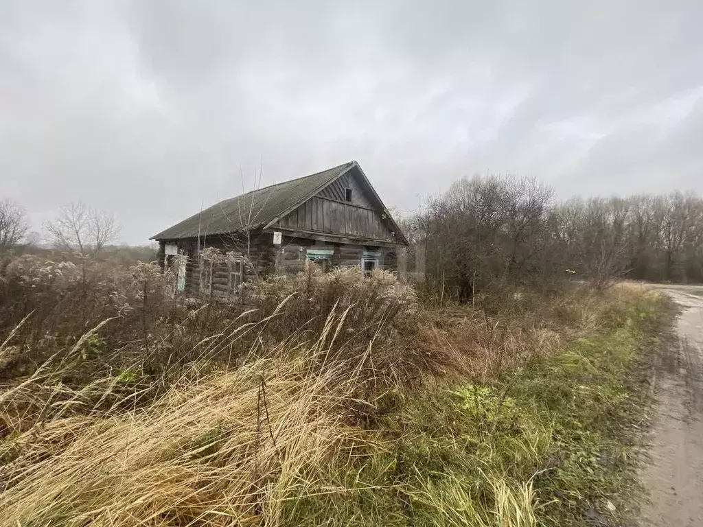 Дом в Брянская область, Навлинский район, Бяковское с/пос, д. ... - Фото 1