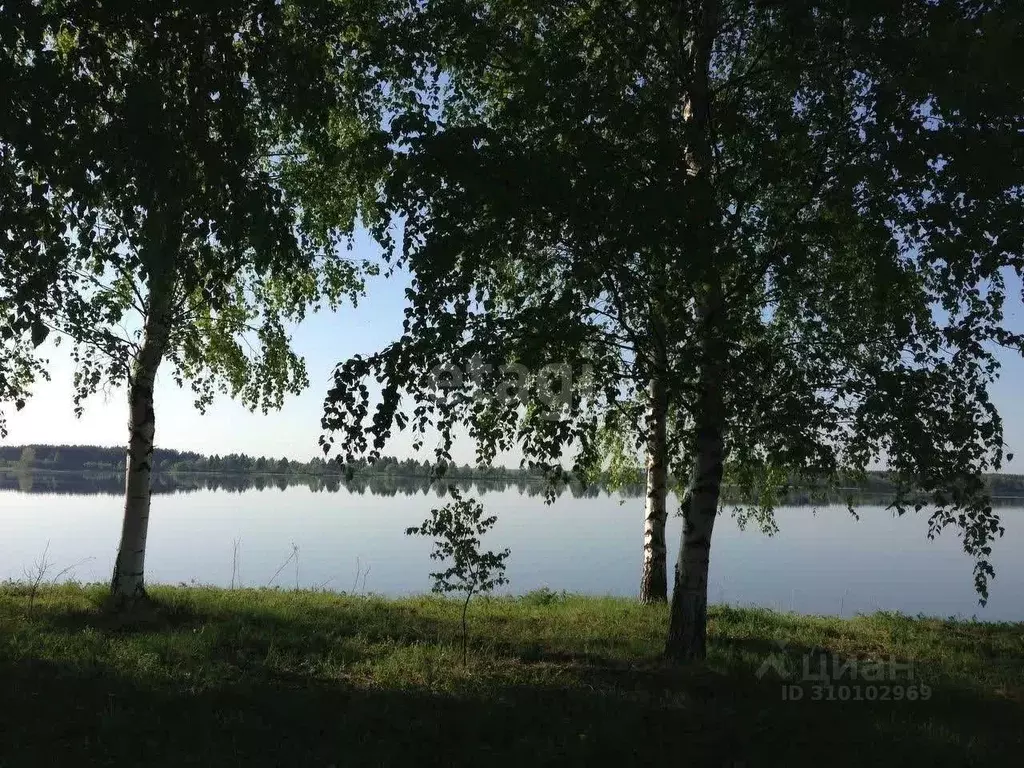 Участок в Ярославская область, Некрасовское с/пос, Золотой Колос тер.  ... - Фото 1