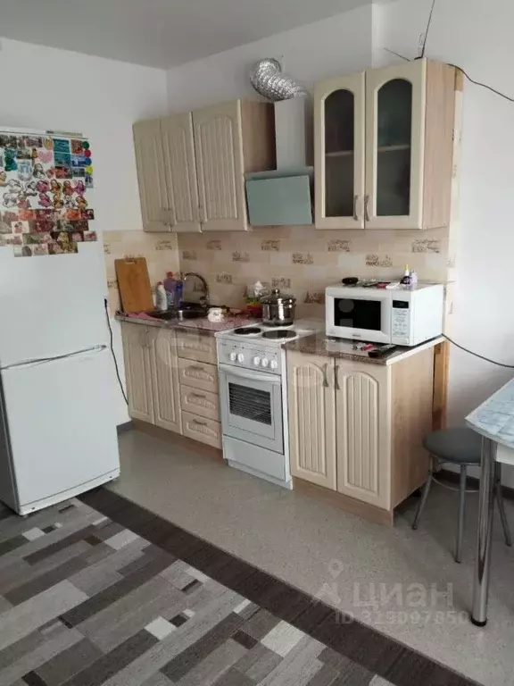Студия Челябинская область, Южноуральск ул. Энергетиков, 7 (23.0 м) - Фото 0