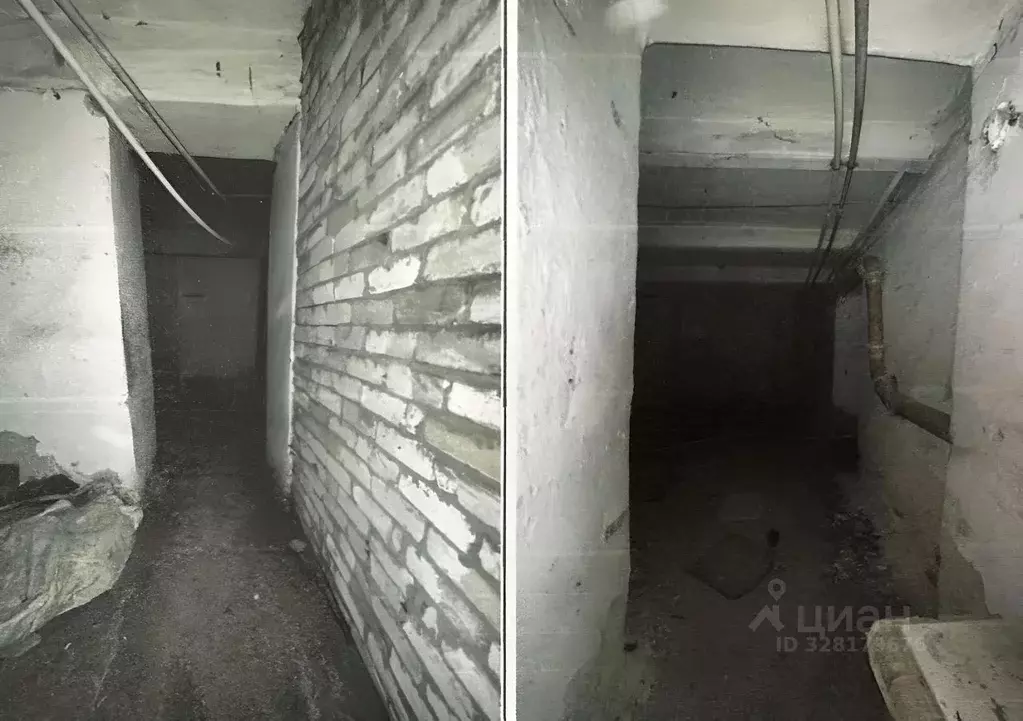 Помещение свободного назначения в Забайкальский край, Чита ул. Ленина, ... - Фото 2