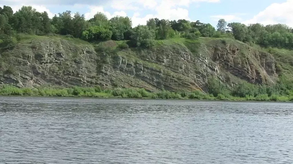 Участок в Кемеровская область, Кемеровский муниципальный округ, д. ... - Фото 2