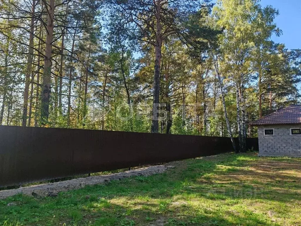 Дом в Тюменская область, Тюменский муниципальный округ, Боровский пгт ... - Фото 1