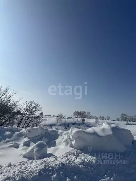 Участок в Алтайский край, Целинный район, с. Бочкари ул. Шкурата, 4 ... - Фото 1