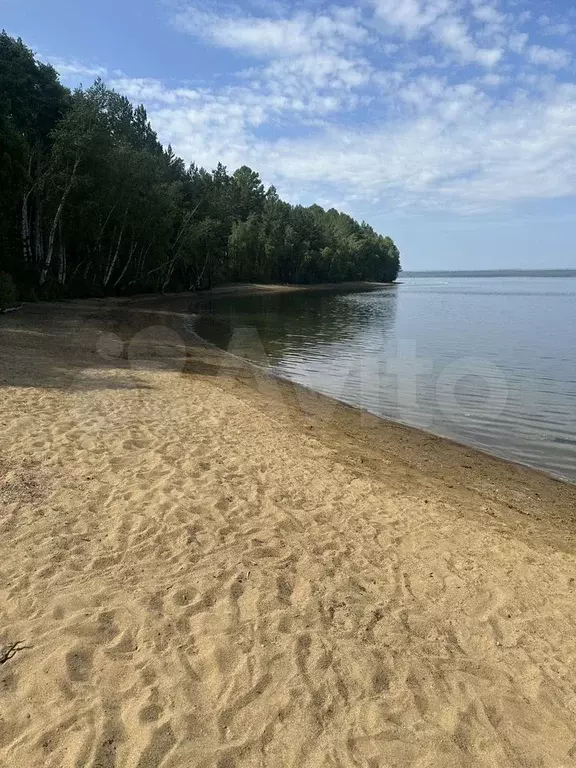 Участок 24 сот. (СНТ, ДНП) - Фото 0