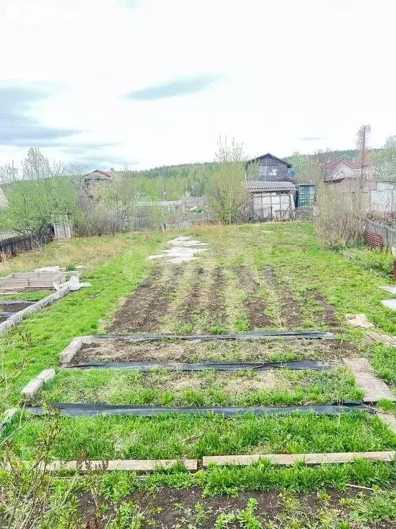 Дом в Красноярск, СНТ Овинный (50 м) - Фото 2