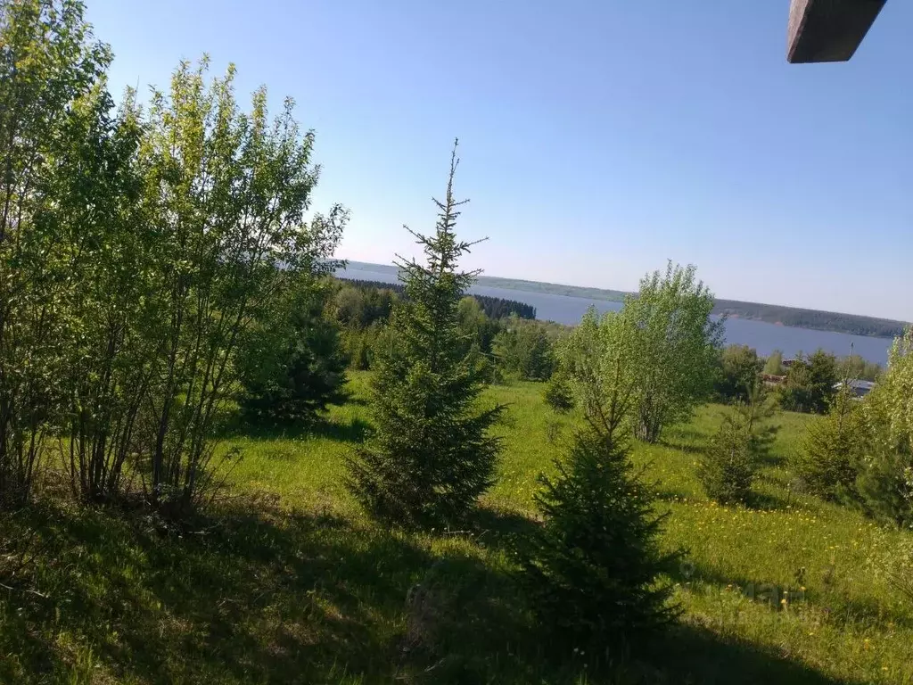 Участок в Пермский край, пос. Ильинский пер. Еловый, 18 (20.0 сот.) - Фото 0