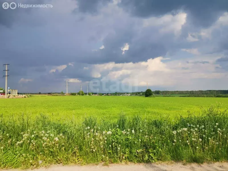 Участок в Тульская область, городской округ Тула, деревня Скорнево (9 ... - Фото 2