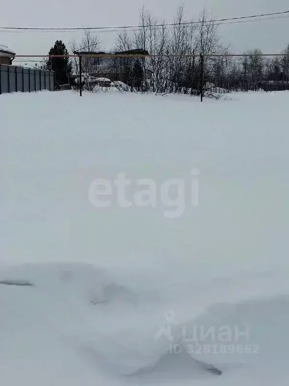 Участок в Ямало-Ненецкий АО, Новый Уренгой Мечта СНТ, ул. Сиреневая ... - Фото 1