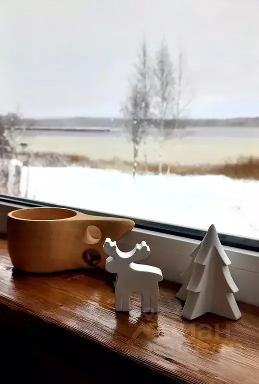 Дом в Вологодская область, Вытегорский муниципальный округ, ... - Фото 2