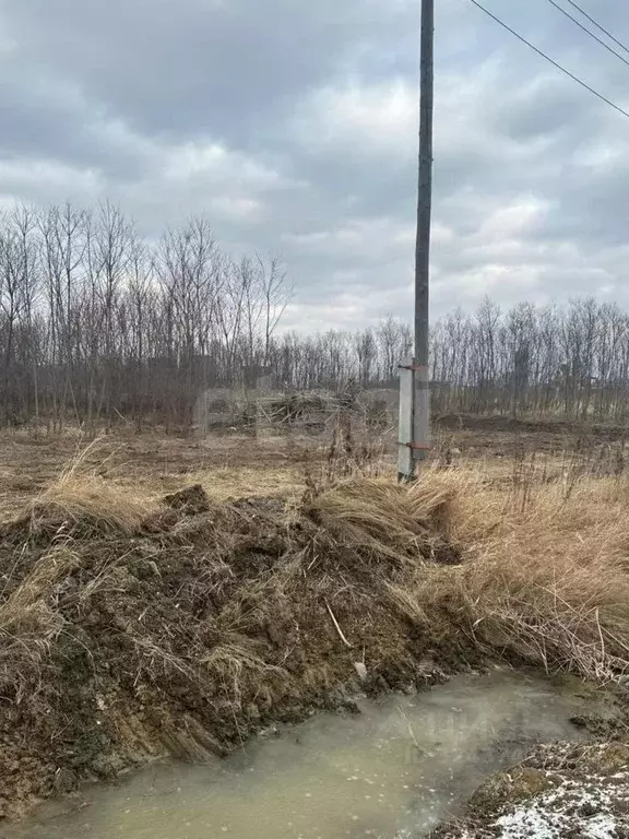 Участок в Сахалинская область, Анивский городской округ, с. ... - Фото 1