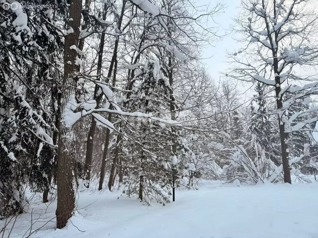 Участок в посёлок Горки-2, ДПК Загорье, 81 (19 м) - Фото 2