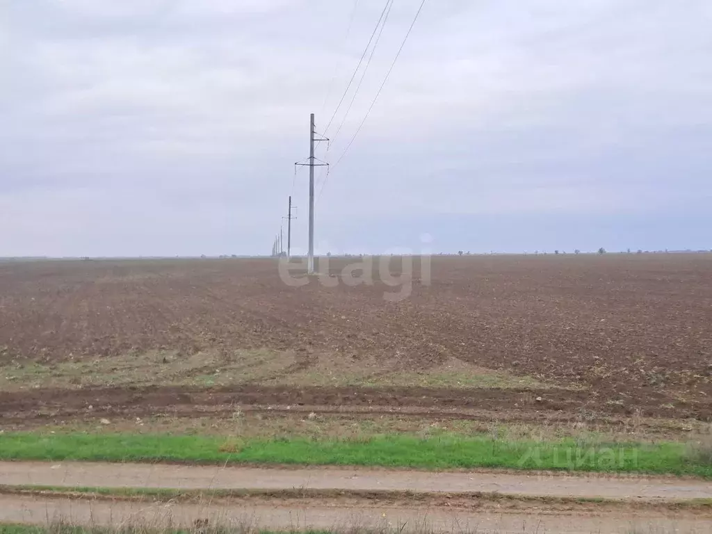 Участок в Крым, Сакский район, с. Молочное  (425.08 сот.) - Фото 1