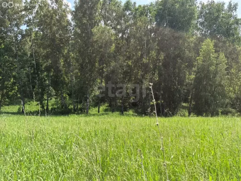 Участок в Новосибирский район, Морской сельсовет, ТСН Ближняя Дача ... - Фото 0