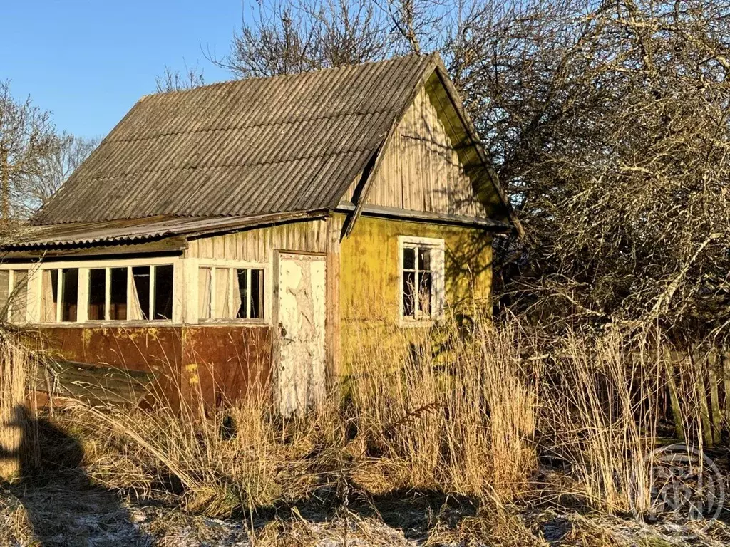 Дом в Ленинградская область, Лужский район, Скребловское с/пос, д. ... - Фото 2